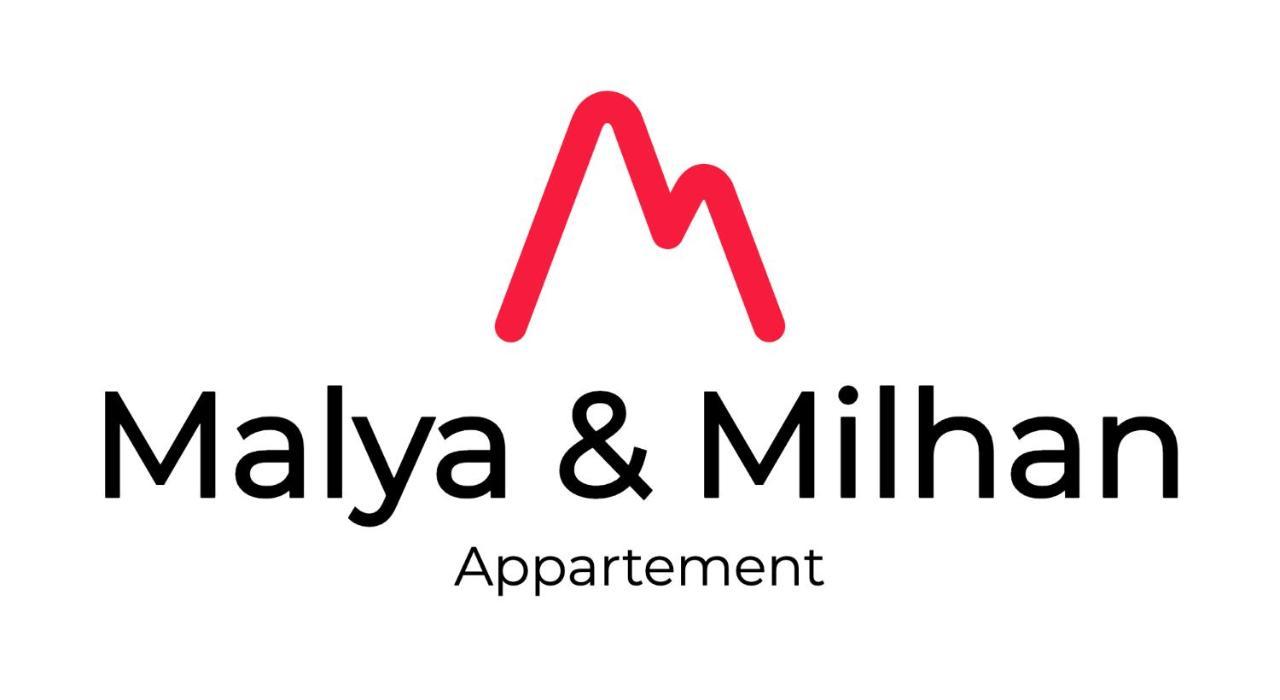 Appartement Milhan Quartier Aigle Championnet Grenoble Exterior foto